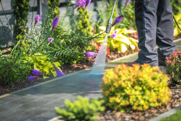 Best Gutter Cleaning  in Menasha, WI